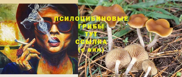 ECSTASY Беломорск
