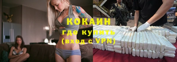 трава Белокуриха