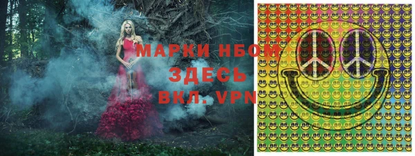 трава Белокуриха