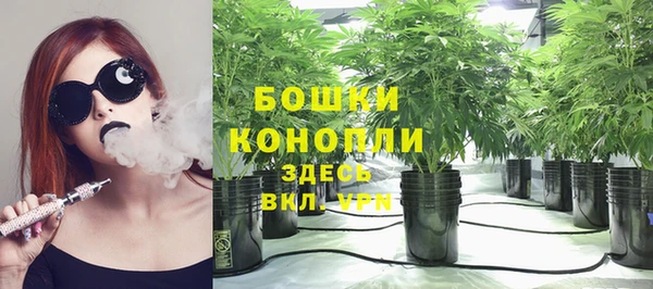 трава Белокуриха