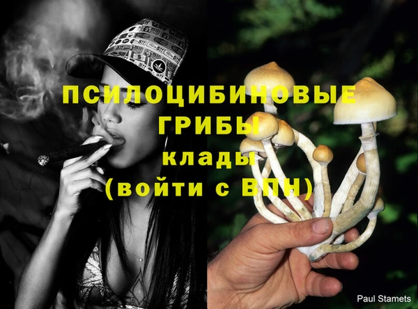 кокс Белоозёрский