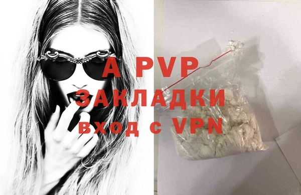 трава Белокуриха