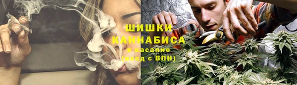 трава Белокуриха