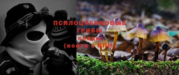 ECSTASY Беломорск