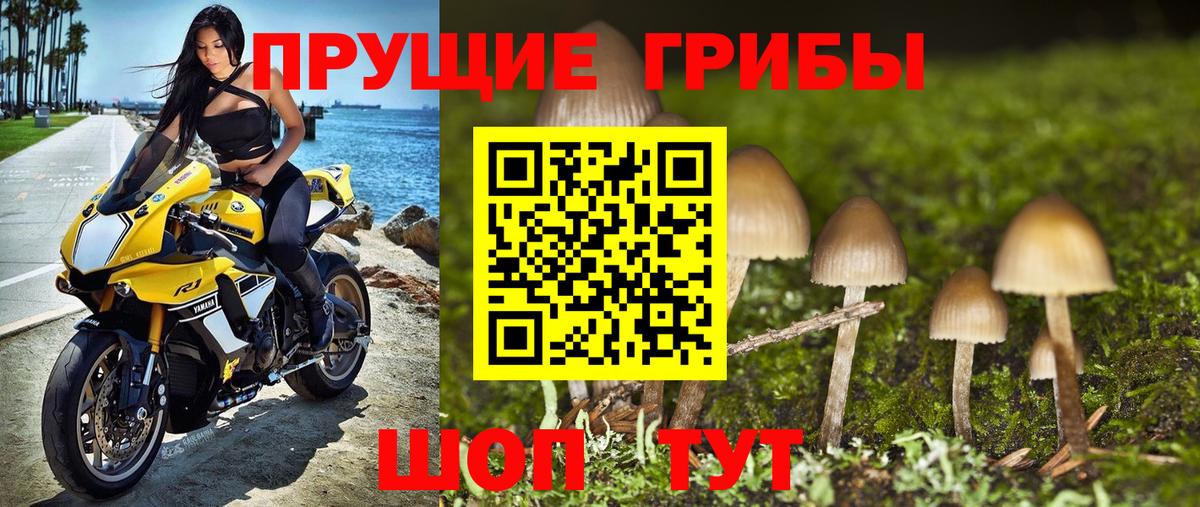Псилоцибиновые грибы MAGIC MUSHROOMS Бузулук